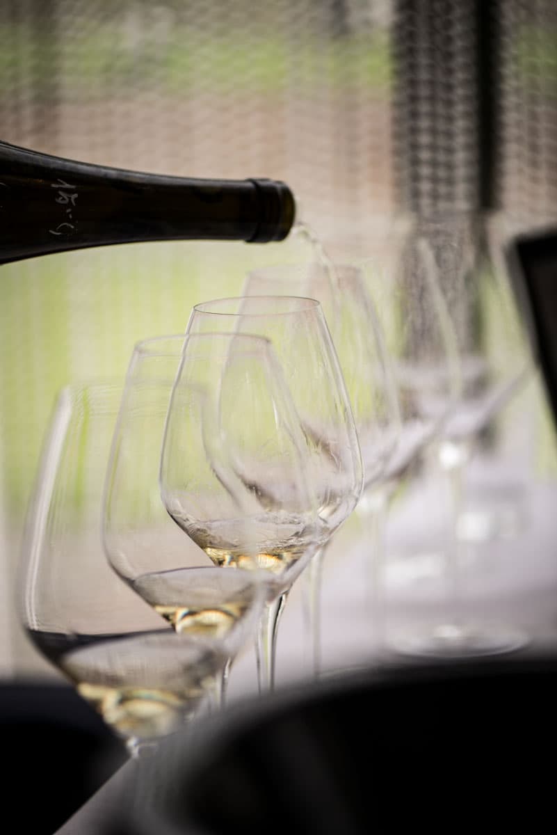 Vinprovarskola – riesling i olika skepnader