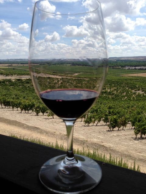 Ikonviner, dilamm och sensommarsol; en resa genom Ribera del Duero