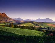 Sydafrika – ett magiskt vinland del 5