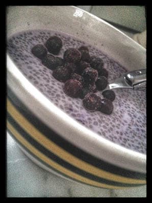 Chiapudding – hipp, nyttig och Googlad