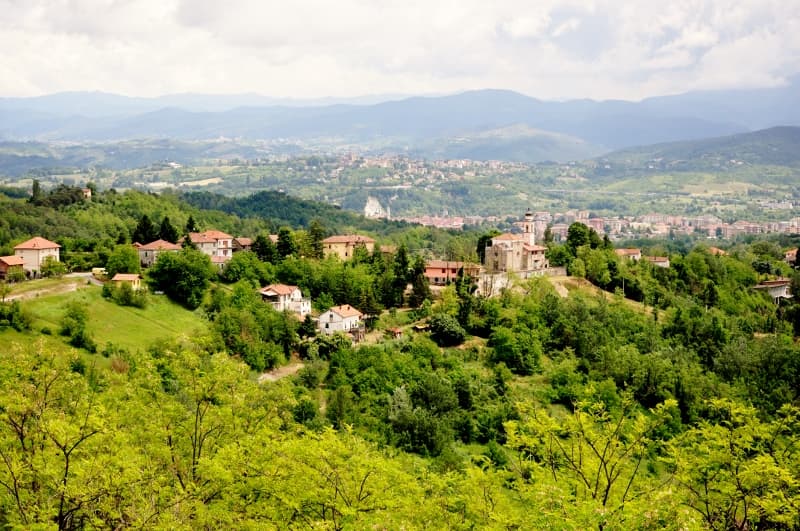 Barbera och Nizza i fokus