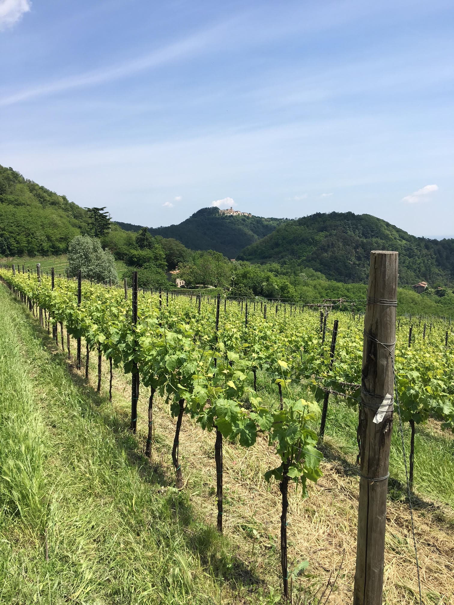 Soave – anteprima