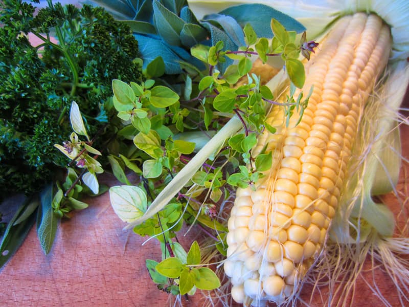 Rostad salsa på färsk majs