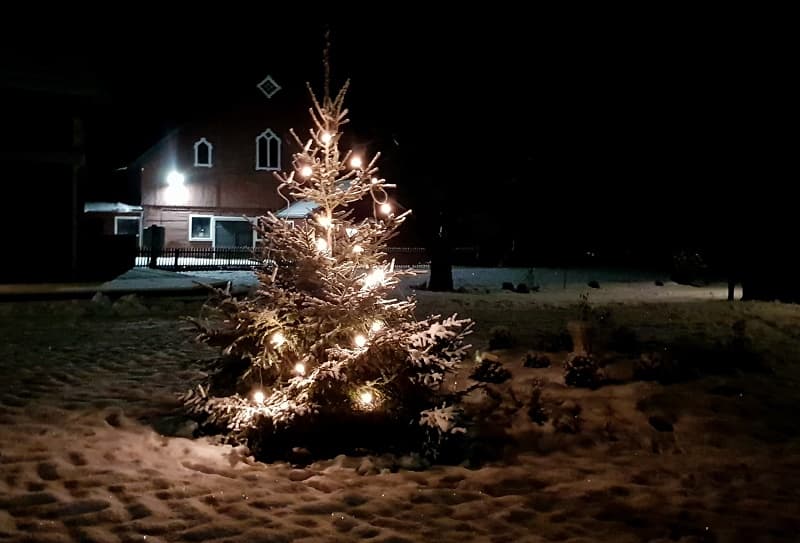 Dan före dopparedan