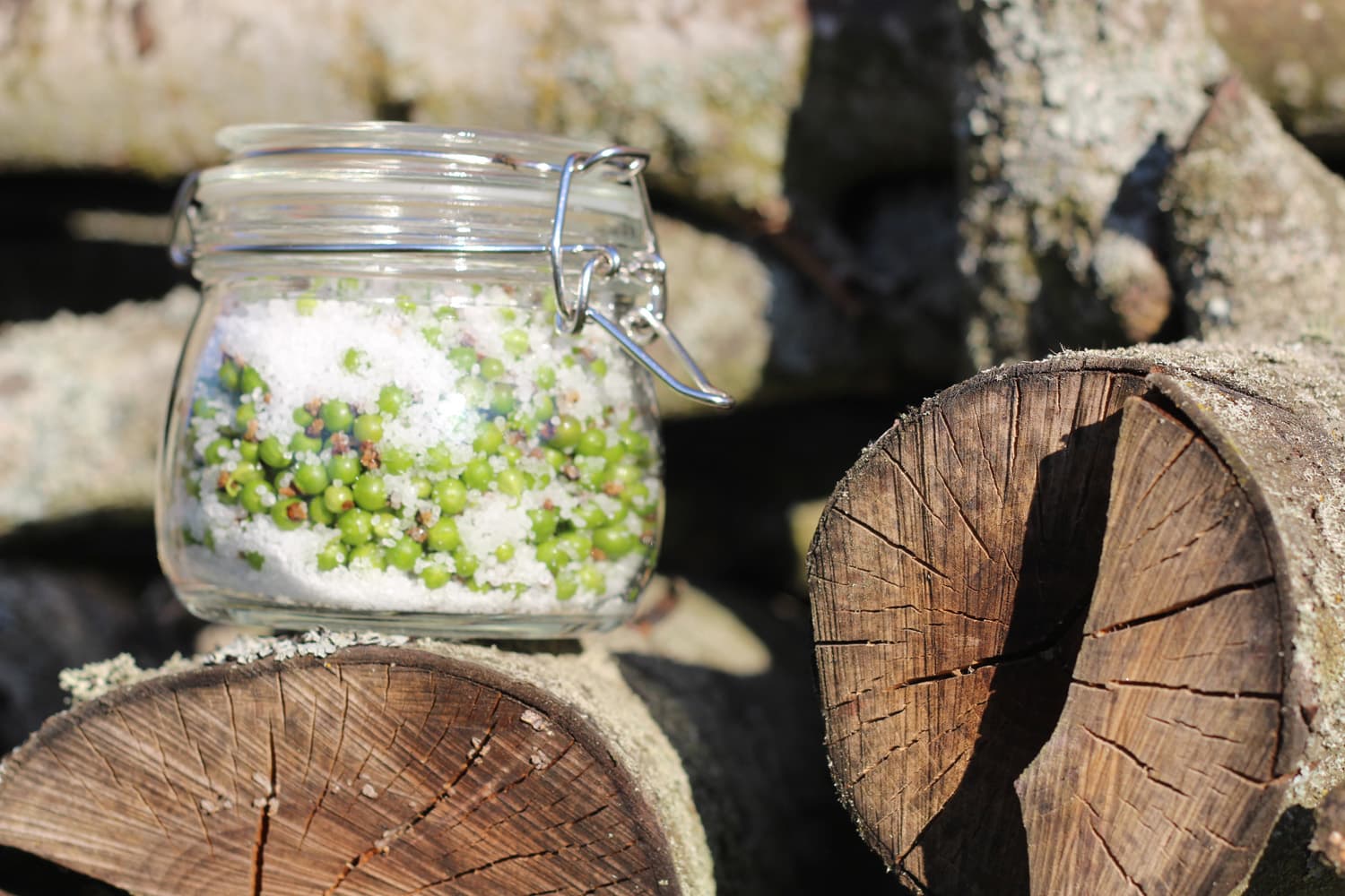 Mat i säsong – Kapris på svarta vinbärskart och maskrossallad