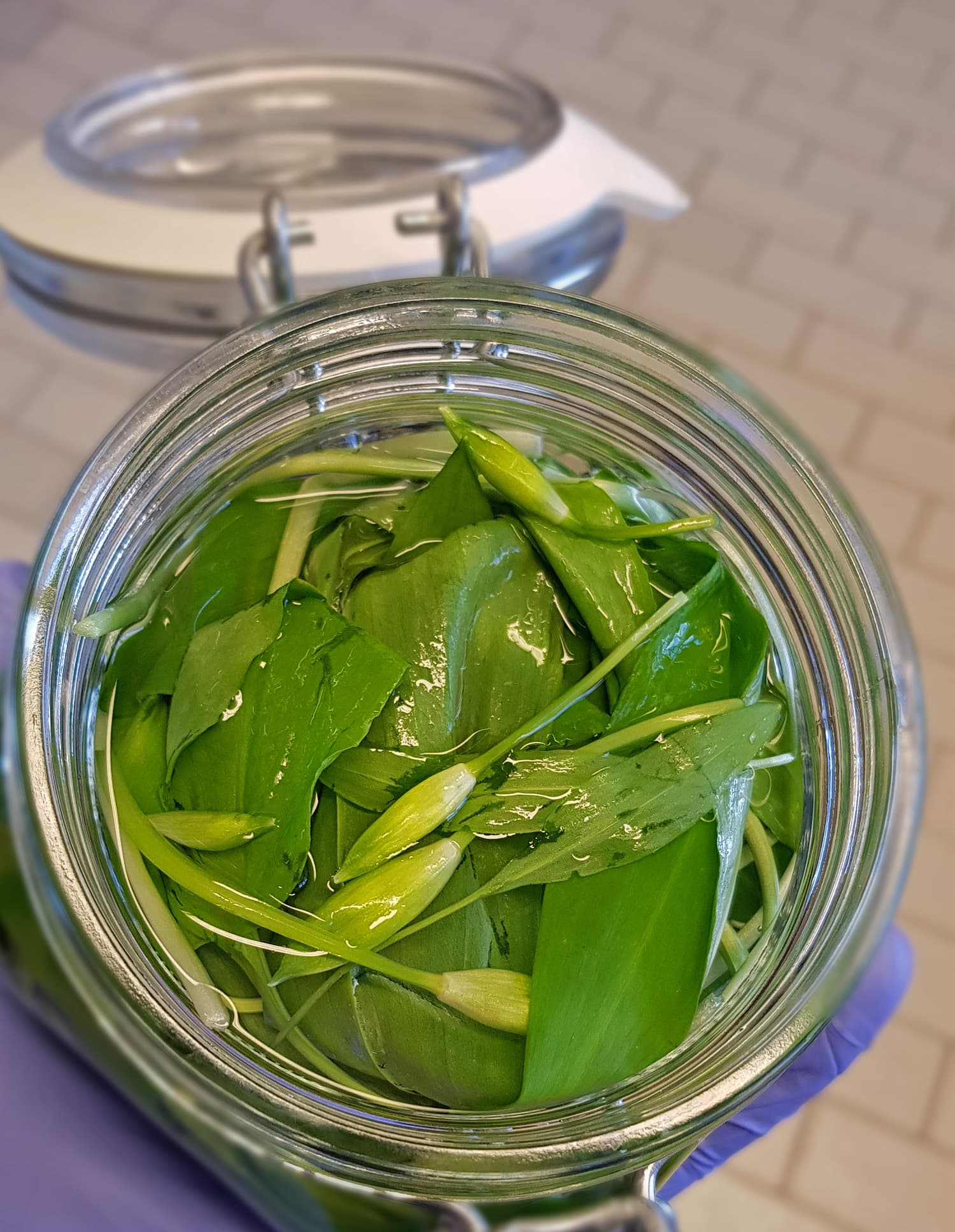 Mjölksyrad ramslök och andra tips!