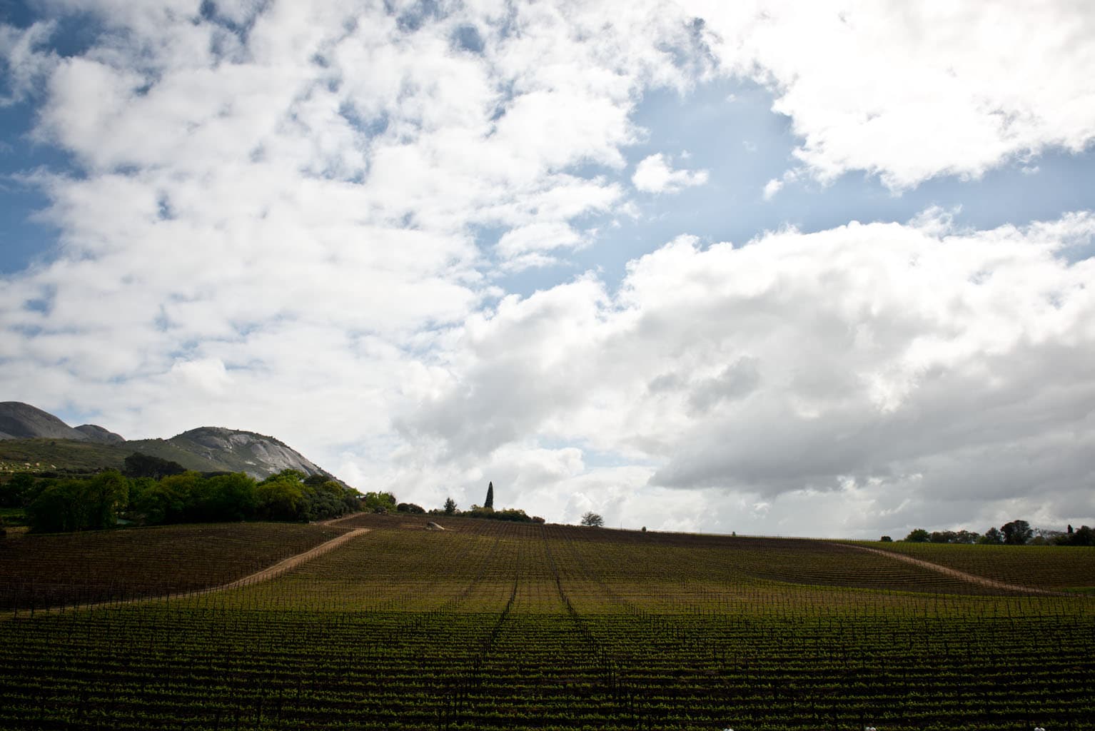 Sofias tips – tillfälligt sortiment 10 oktober 2025