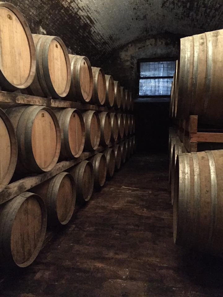 bild på Ska vinet lagras eller drickas?