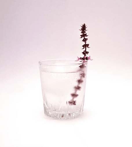 Gin och tonic vårens drink