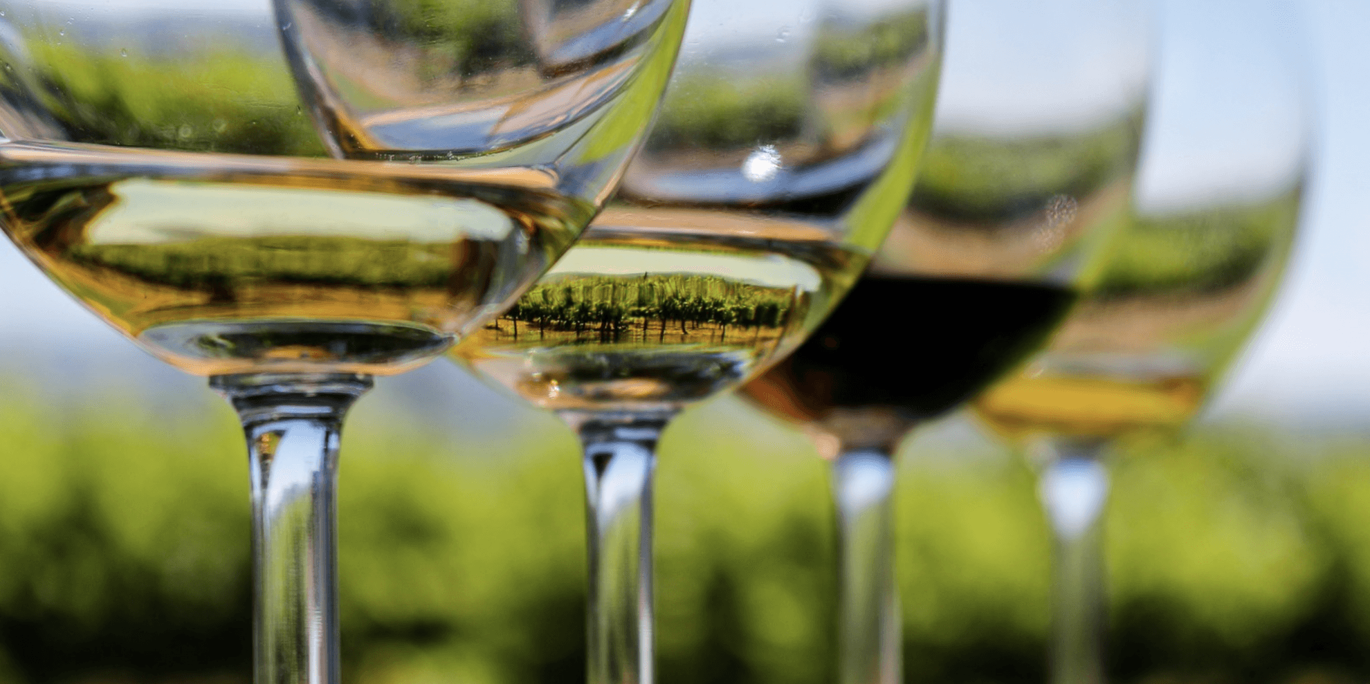 Sofias tips på Systembolaget – nyheter 2 mars 2020