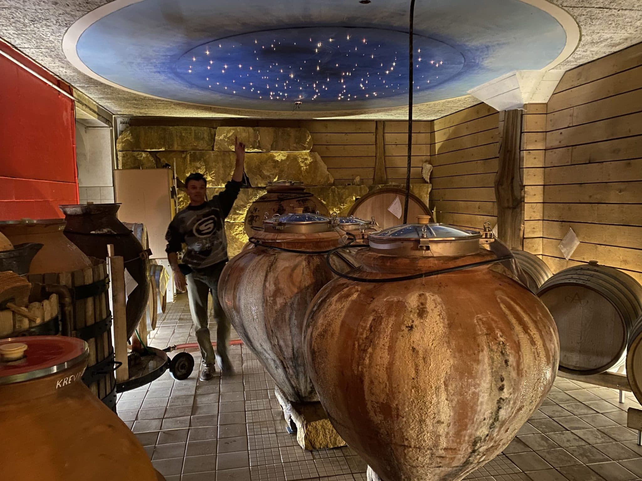 Trendspaning Champagne 2020