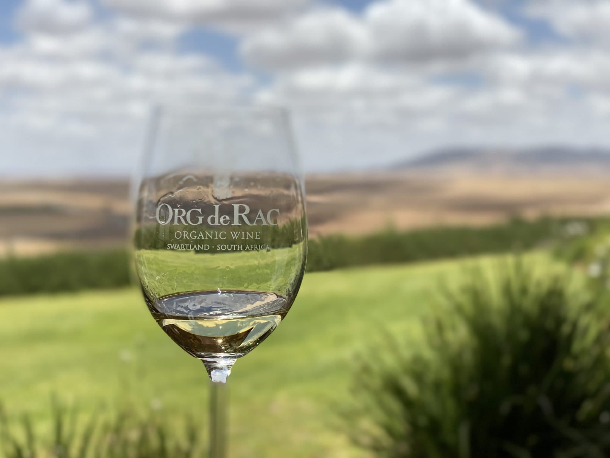 Sydafrikas viner – Swartland