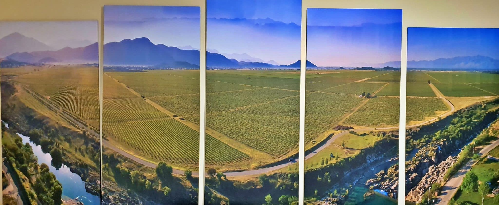 världens största vingård