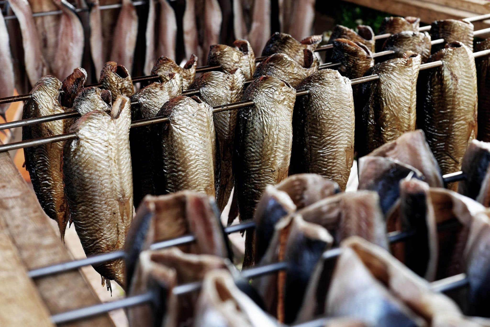 Viner till rökt fisk