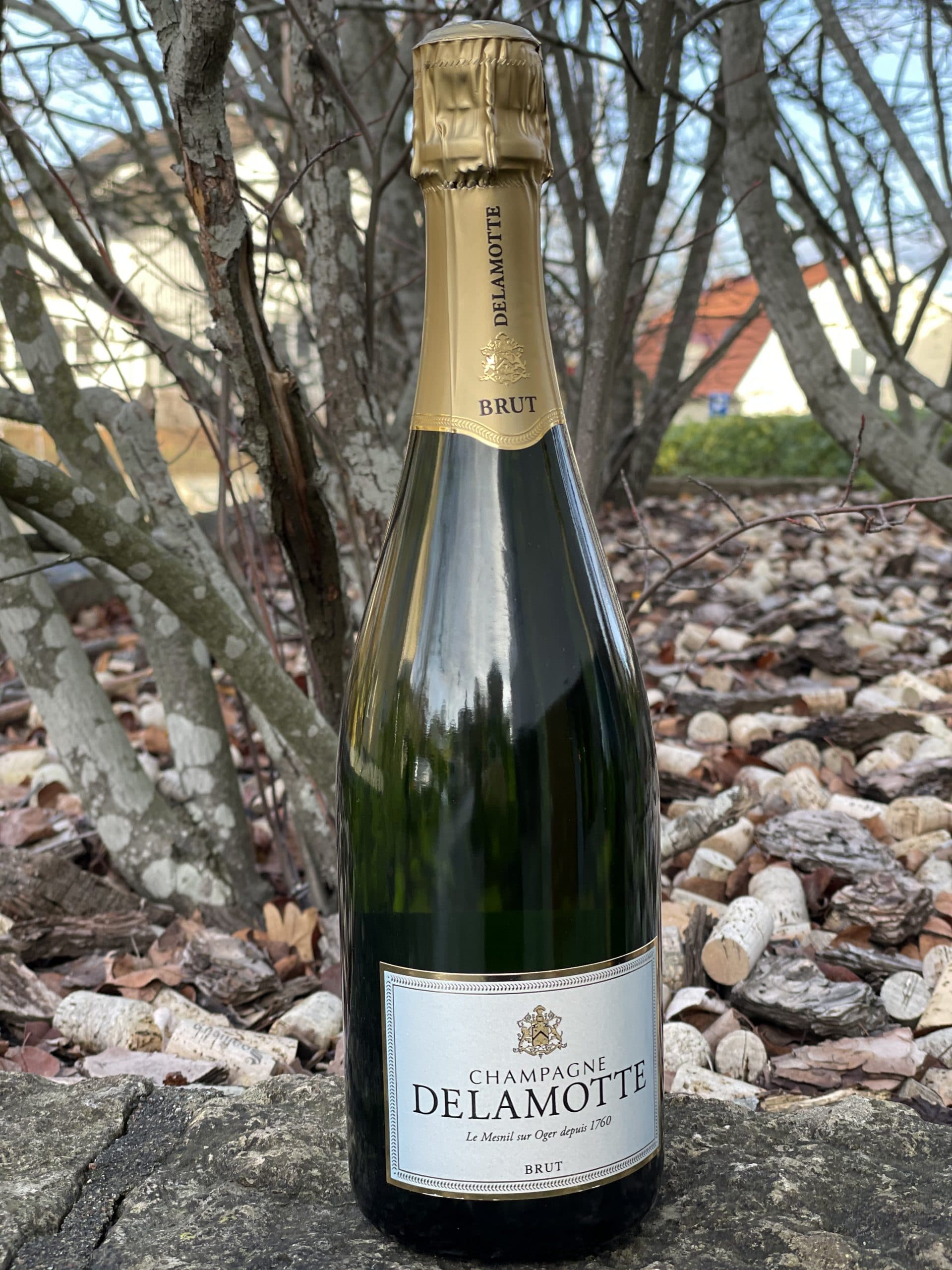 Delamotte Brut