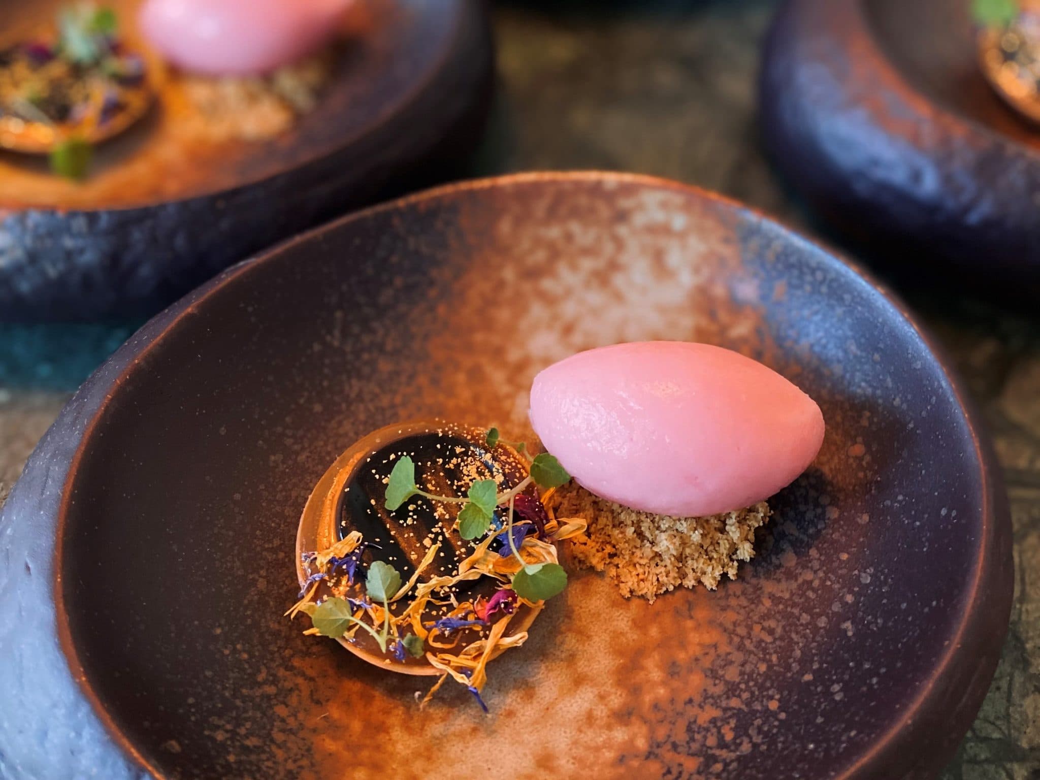 Bild på Tartelett med granskottskola, lakritsgéle, sockerkaka och rabarbersorbet