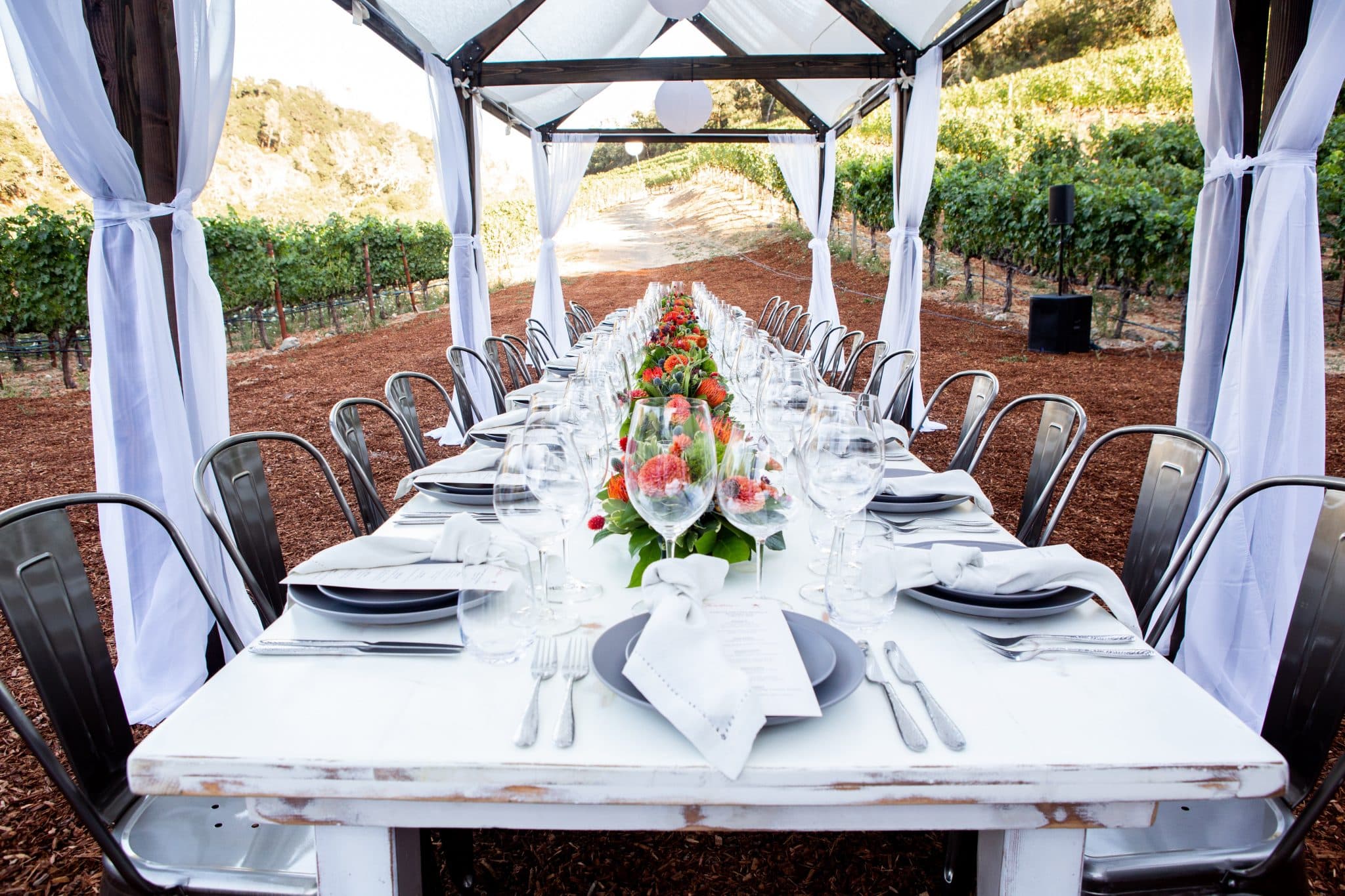 Sofias tips – tillfälligt sortiment 25 maj 2021