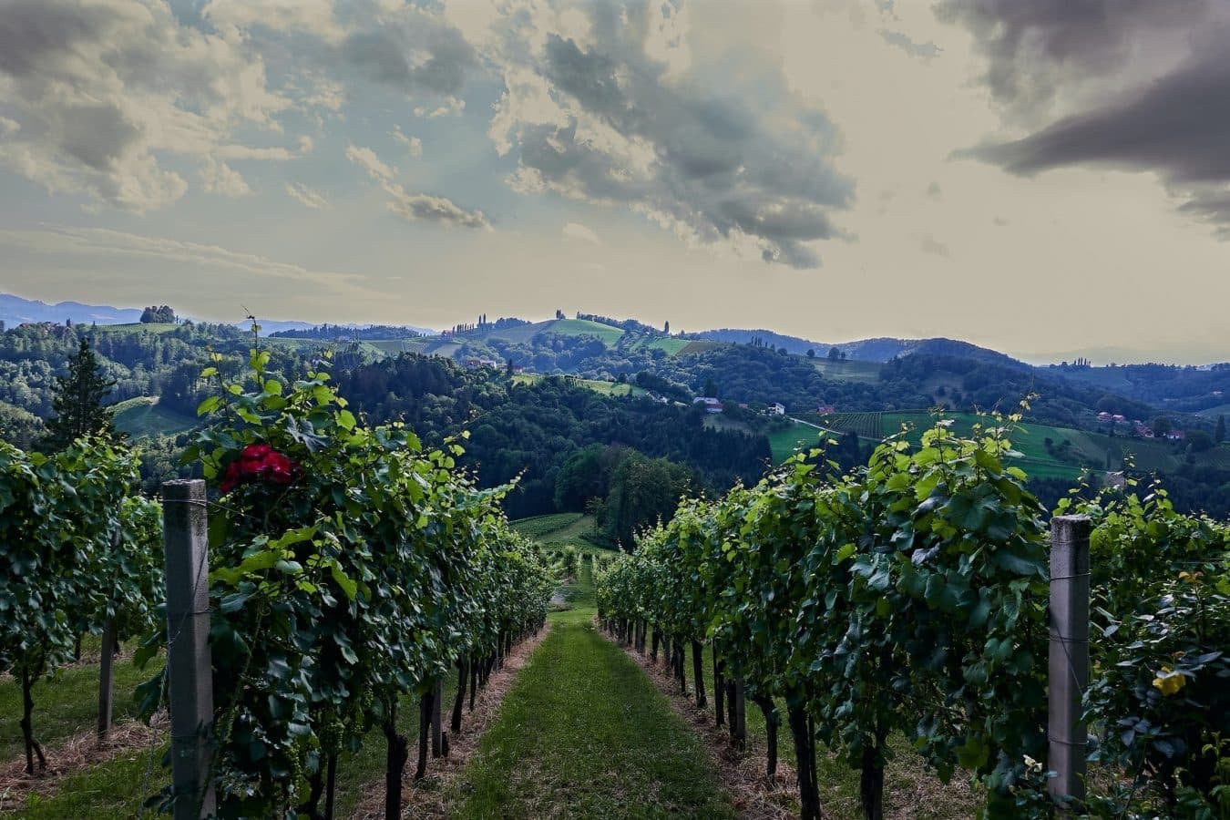 Från Bode till Burgenland