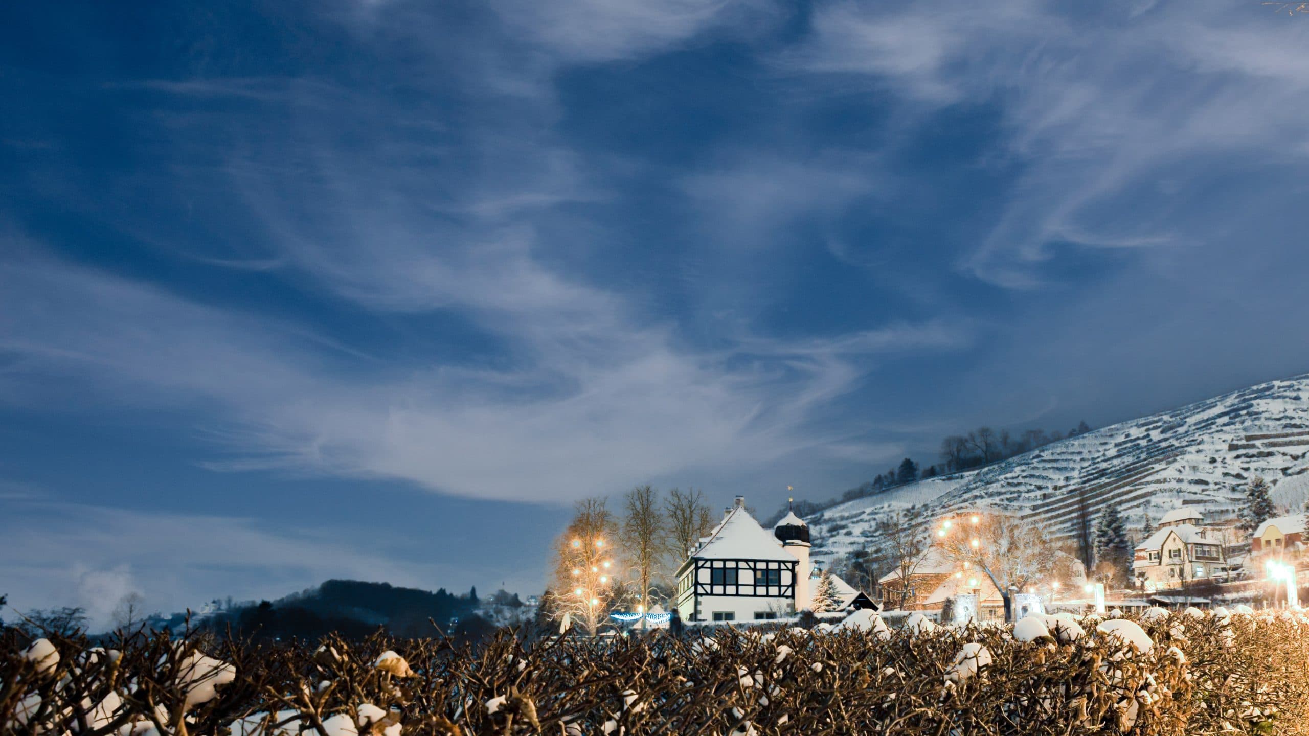 Sofias tips – Fast sortiment 1 december 2021