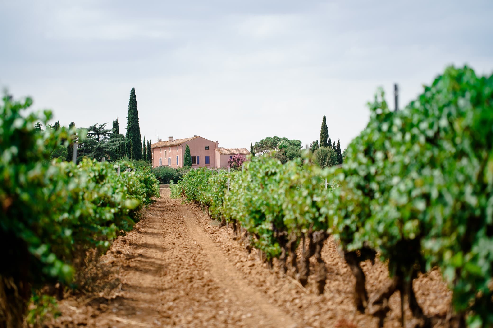 Månadens Vinhus: Gérard Bertrand