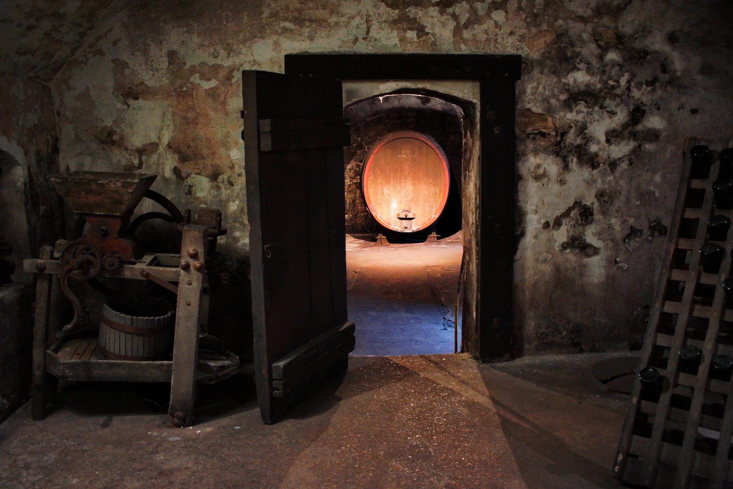 Sofias tips – Tillfälligt sortiment 1 september 2023