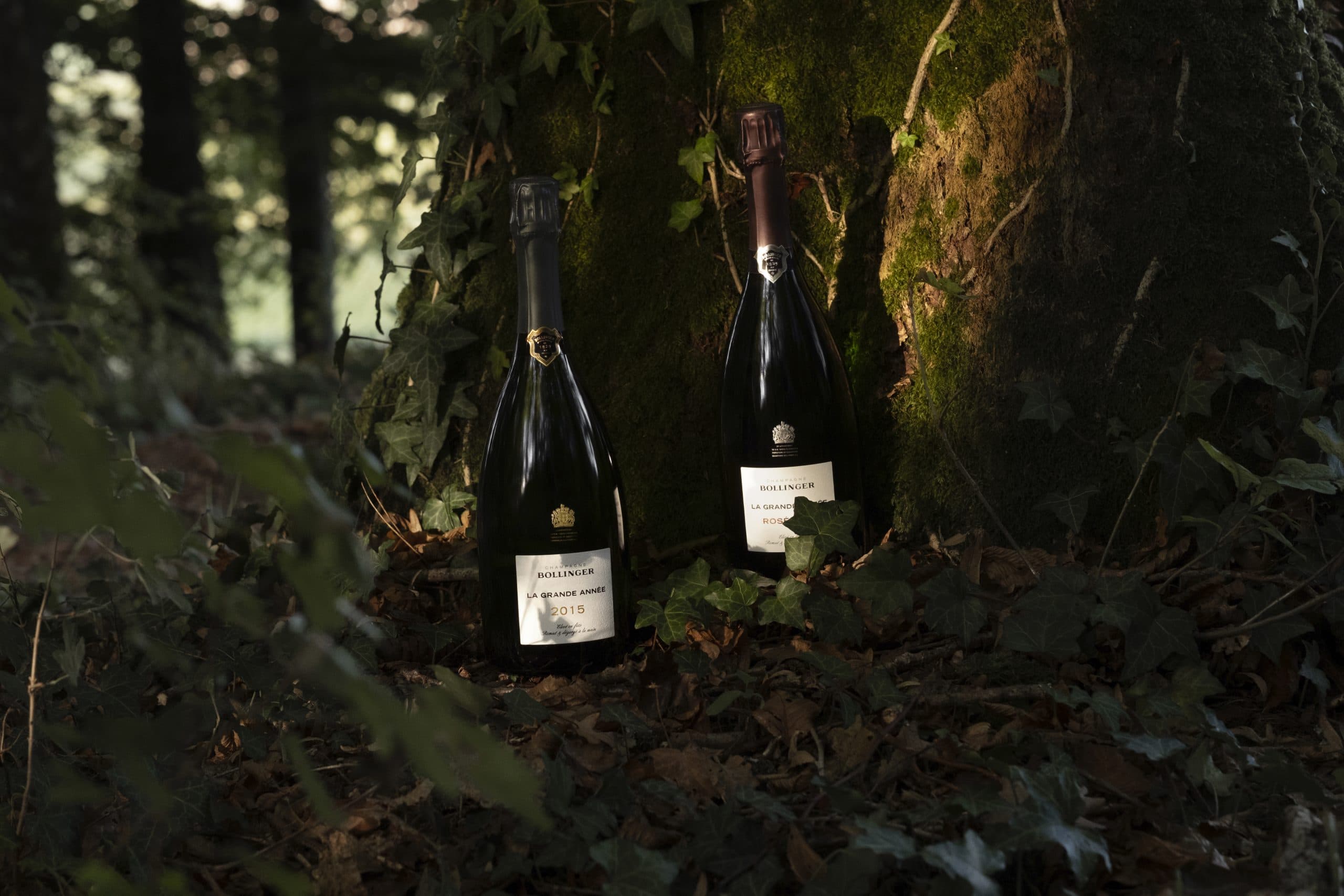 Bollinger La Grande Année 2015