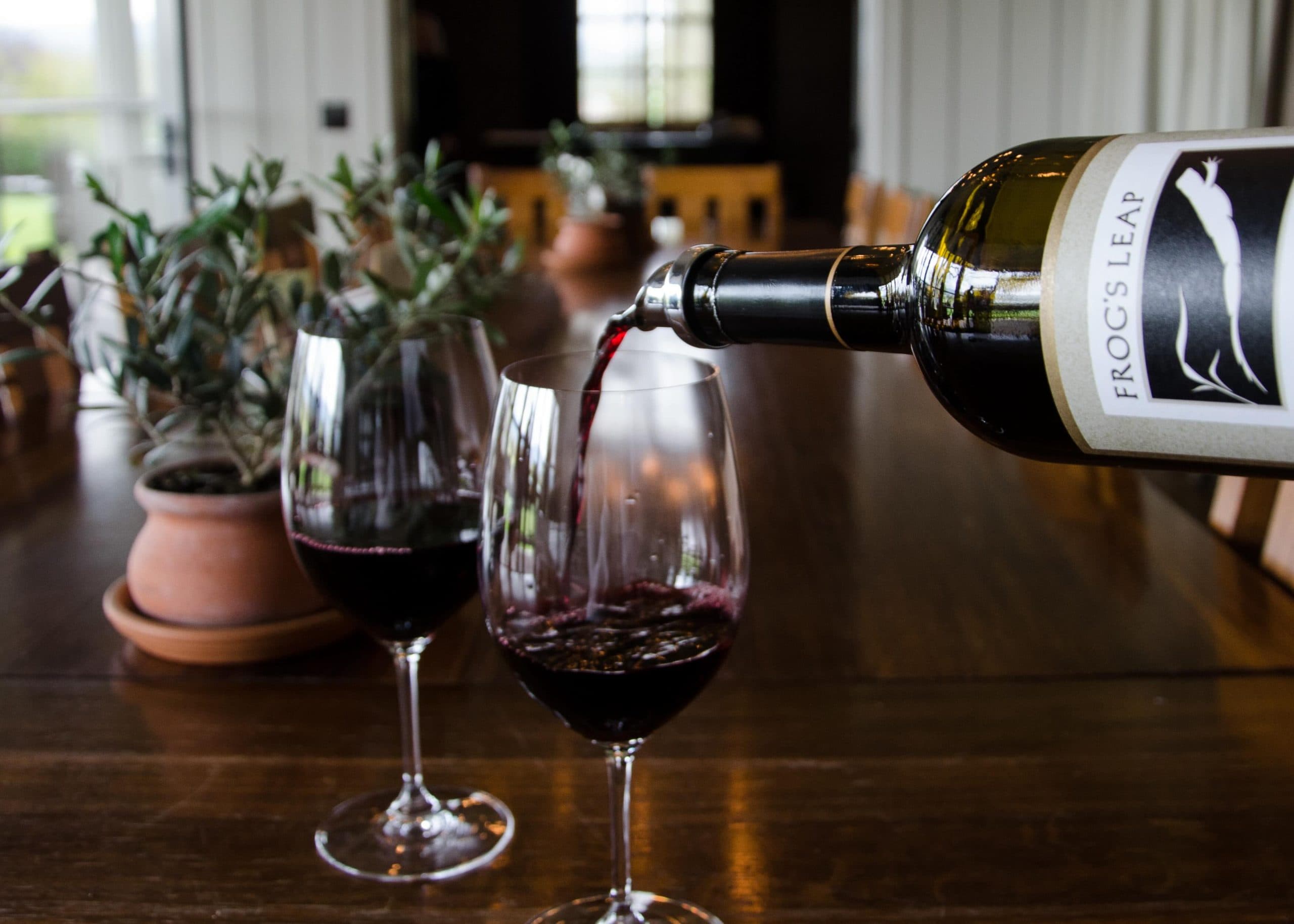 Månadens Vinhus: Frog’s Leap