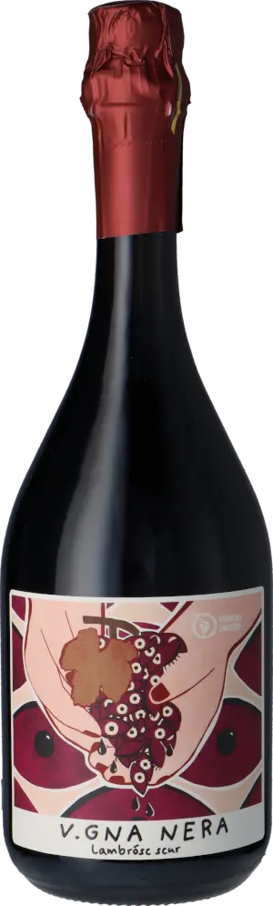 Bild på Fangareggi Vigna Nera Lambrusco Emilia