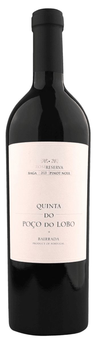 Rosé från Portugal