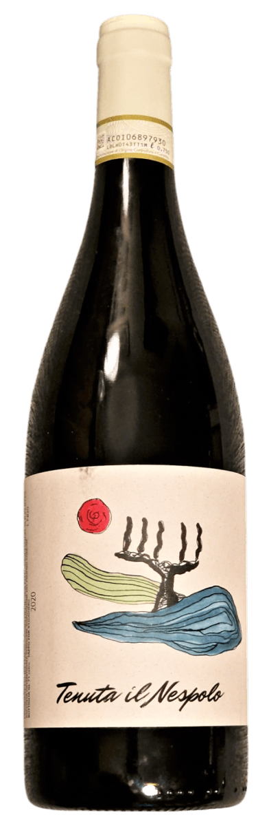 Rött vin, Nizza, Piemonte, Italien