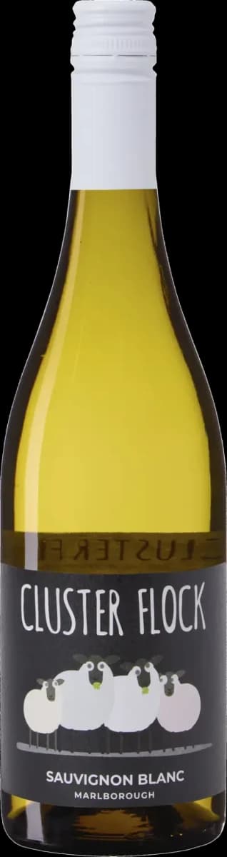 Bild på Cluster Flock Sauvignon Blanc Citizen Wine 2023