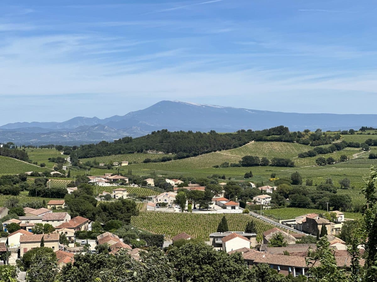 Châteauneuf-du-Pape och påvens nya viner