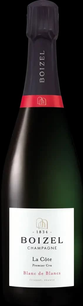 Bild på Champagne Boizel La Cote Blanc de Blancs Premier Cru