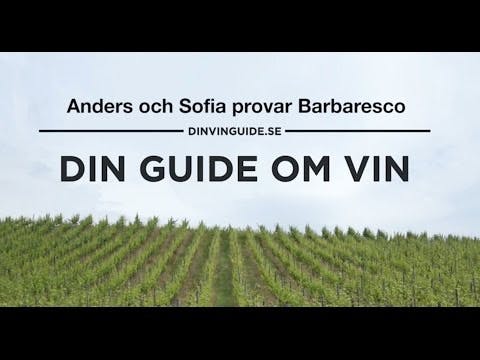 Din guide om vin med Anders Levander och Sofia Ander