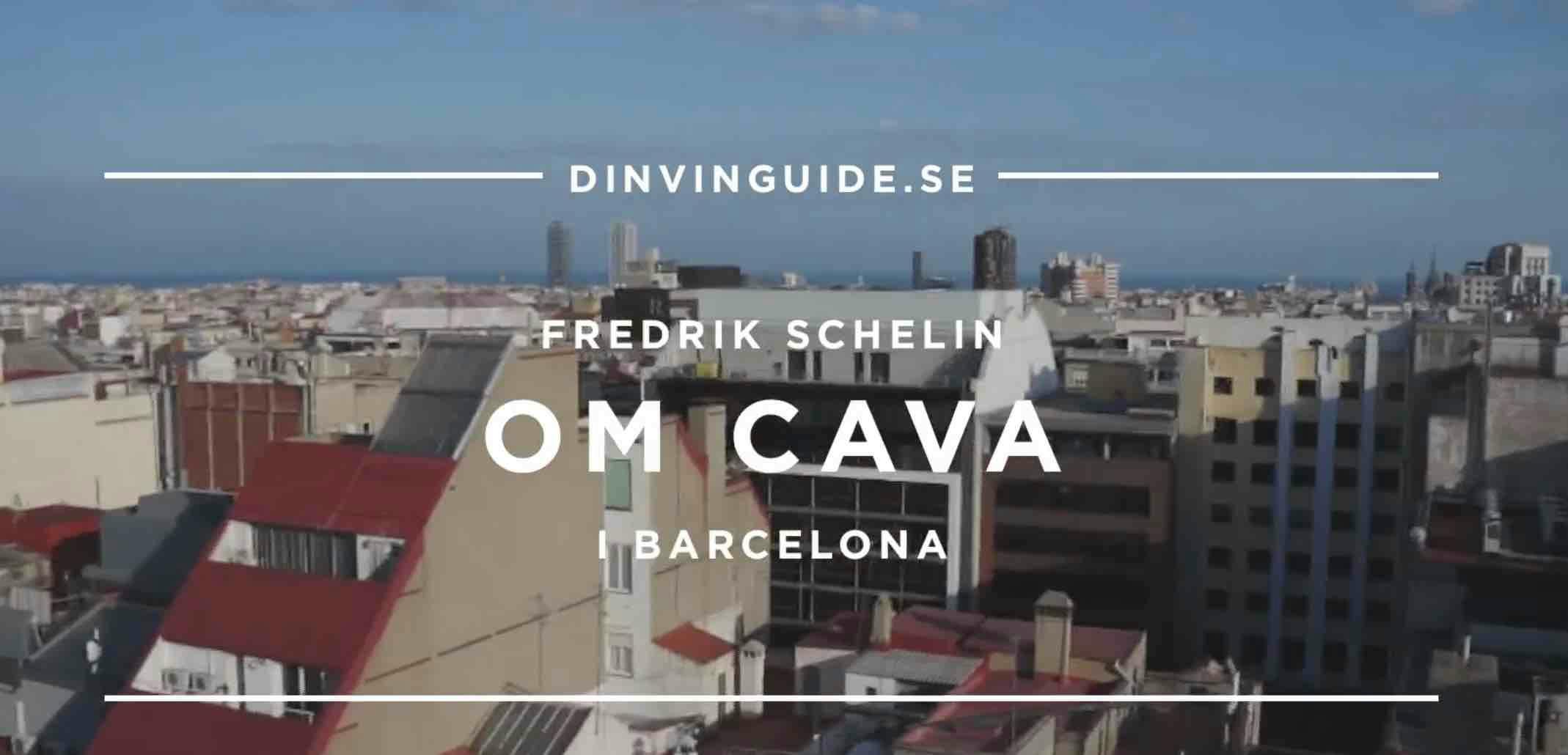 Cava är svenskarnas ny-gamla favoritbubbel - DinVinguide