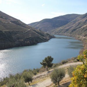 Dourodalen är ett av världens vackraste vindistrikt
