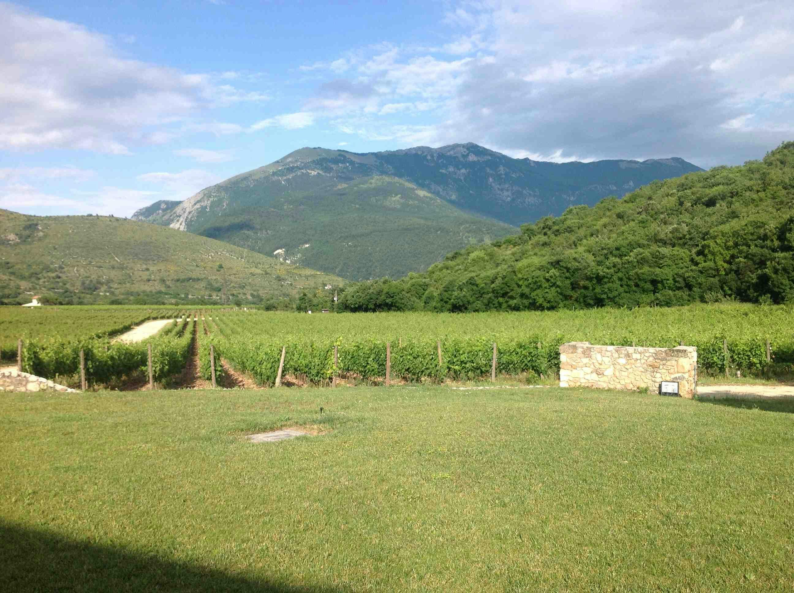 Kvalitetsvin från Abruzzo som inte kostar – Valle Reale