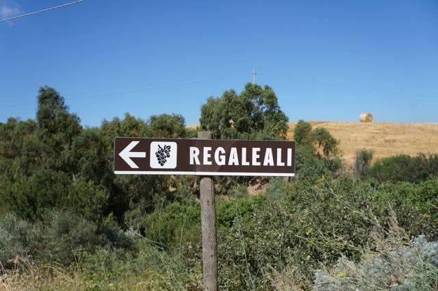Tenuta Regaleali - Ett av de bästa vingårdsbesöken på Sicilien - DinVinguide