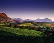 Sydafrika – ett magiskt vinland del 5