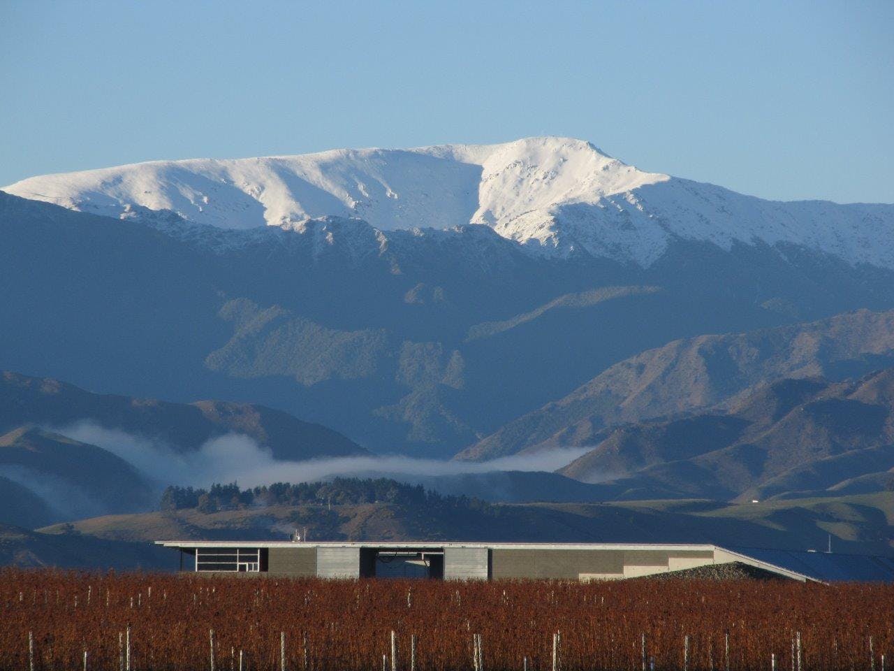 Bästa Pinot Noir från Nya Zeeland – Ara Wines