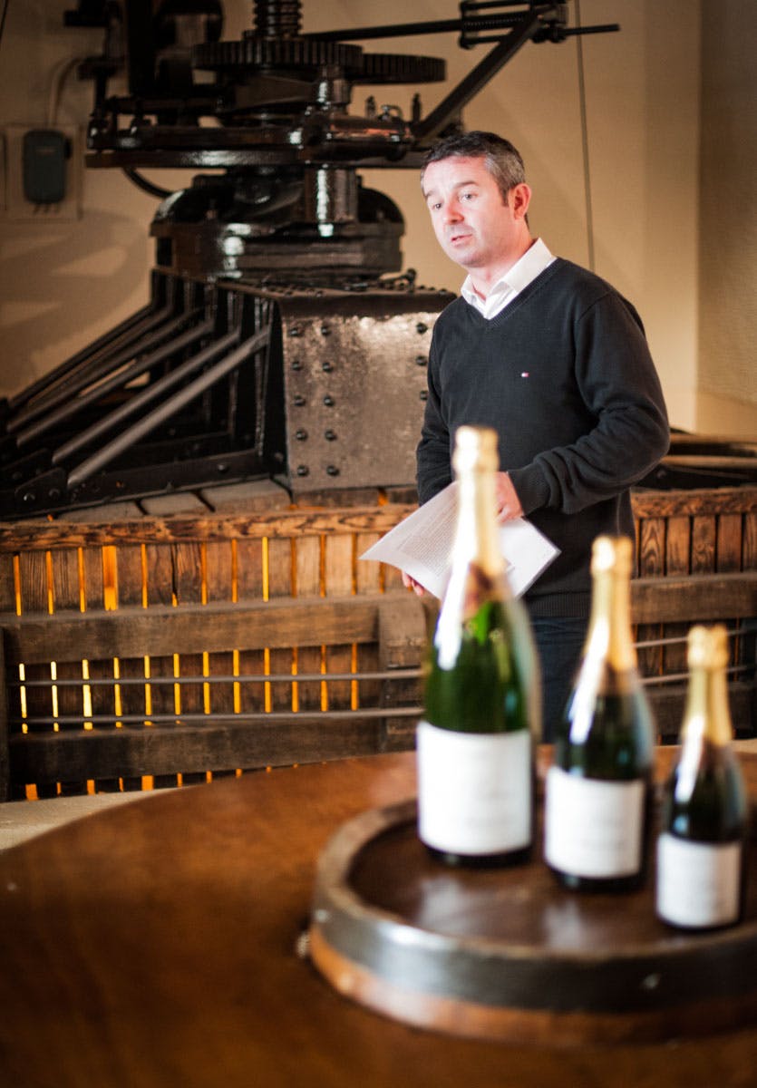 Skörden i Champagne 2016 Rodolphe Peters, champagne Pierre Peters