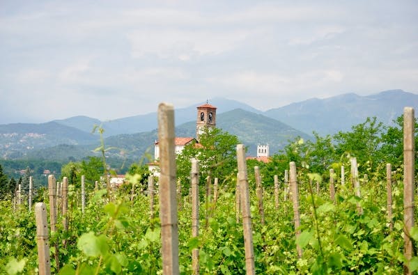 På resa i Piemonte – Alto Piemonte - DinVinguide
