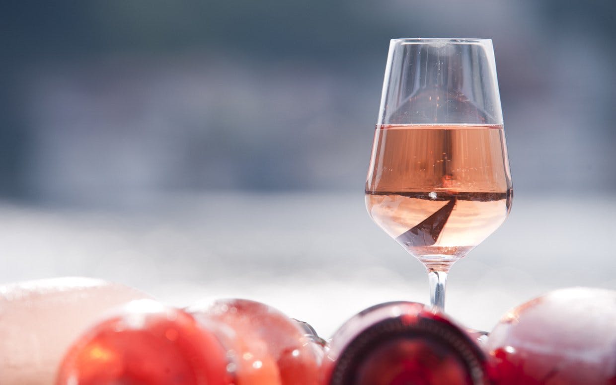 Rosé vin bäst i test 2015 – Redaktionen provar