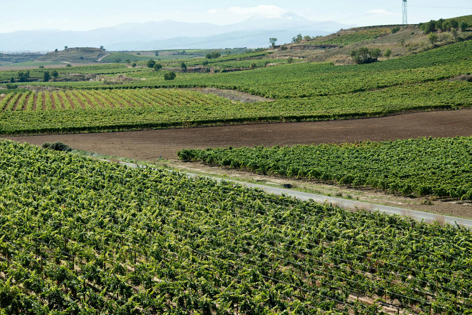 Viner från Rioja man inte får missa - DinVinguide