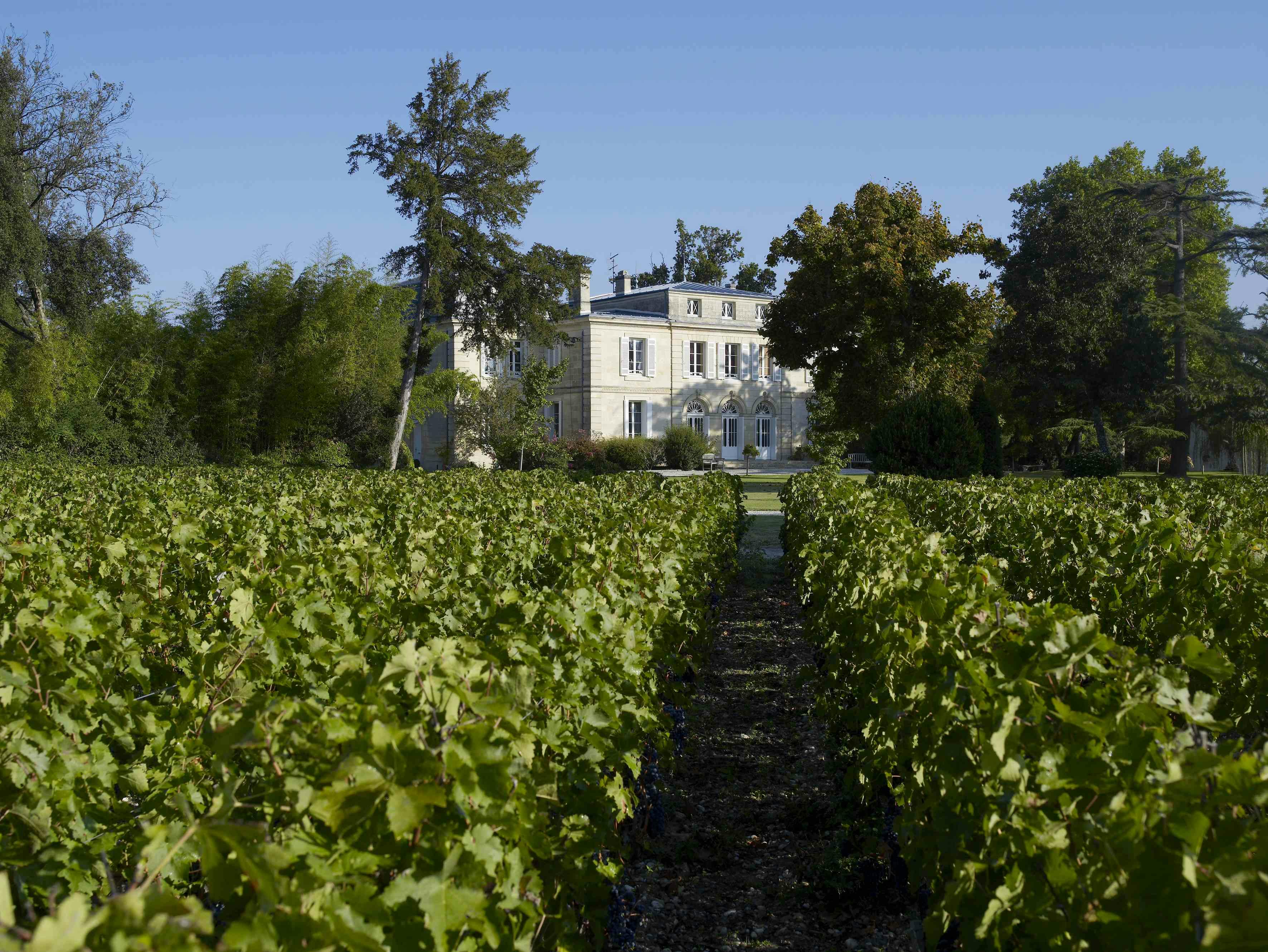 Bordeaux det glömda vinet på Systembolaget