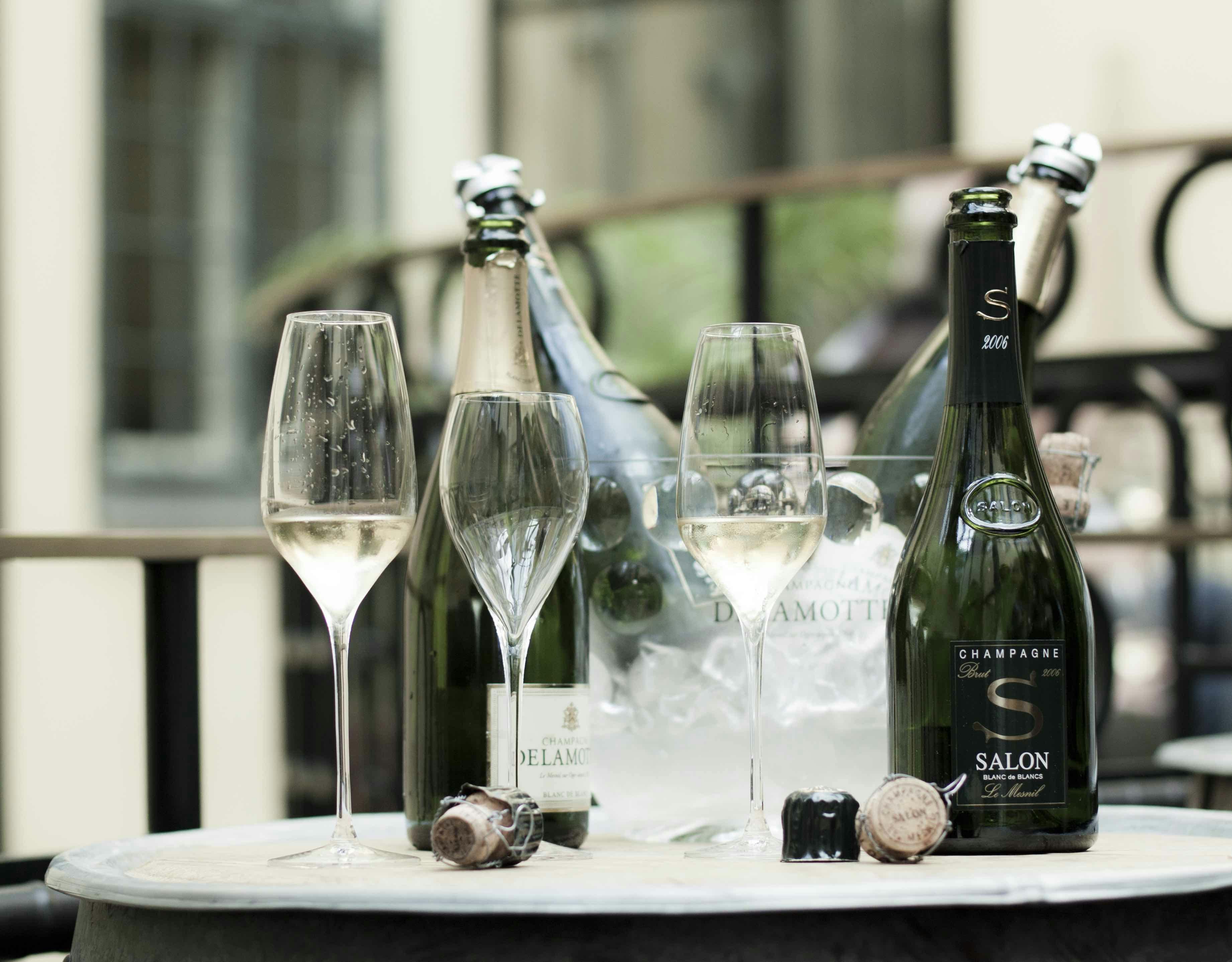 Champagne salon vintage 2006 - Elegant med lång livslängd