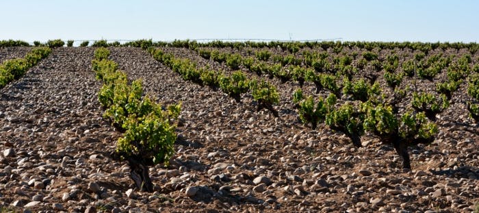 Tre spännande röda viner från Spanien
