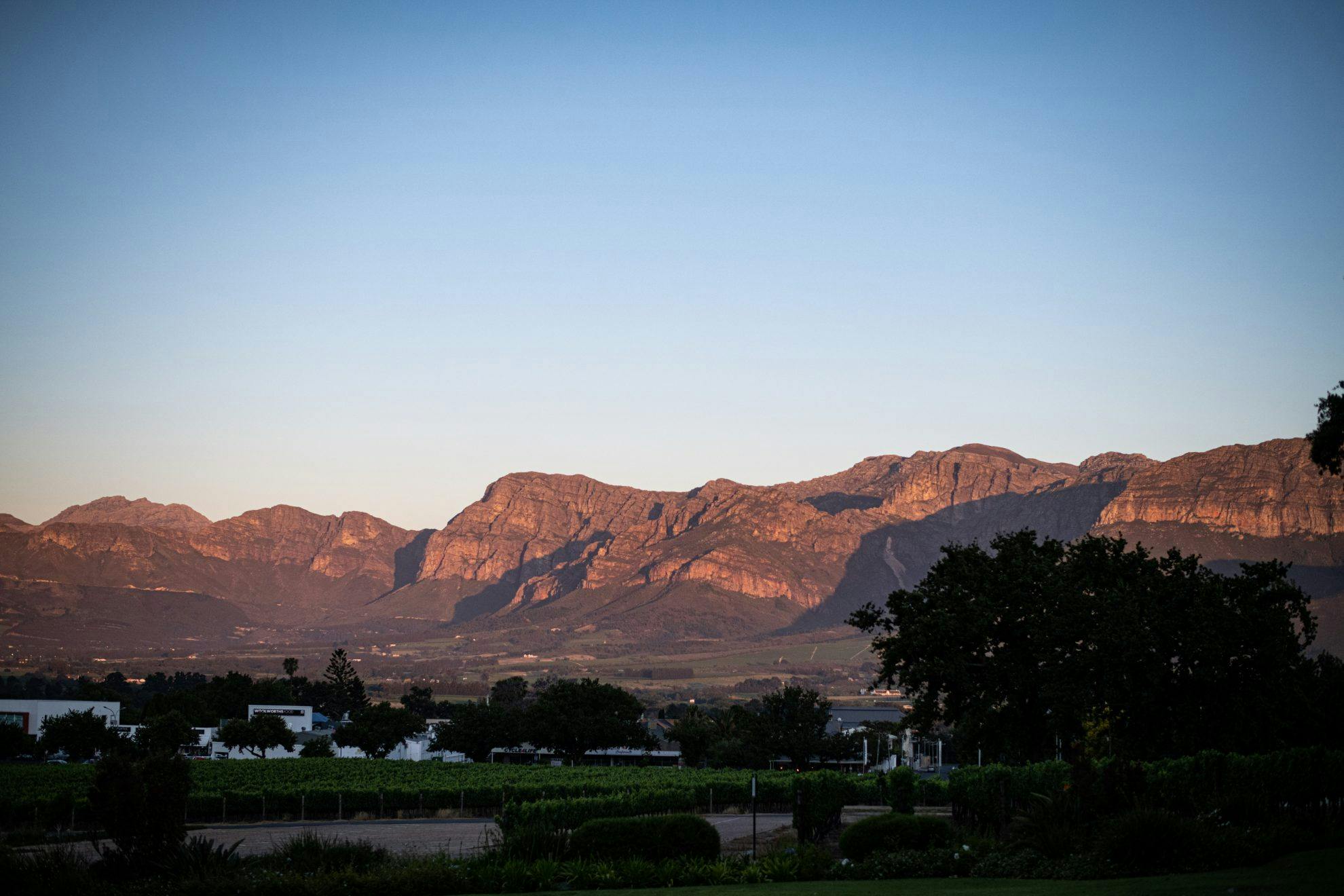 DinVinguide.se: Vinskola - Sydafrika