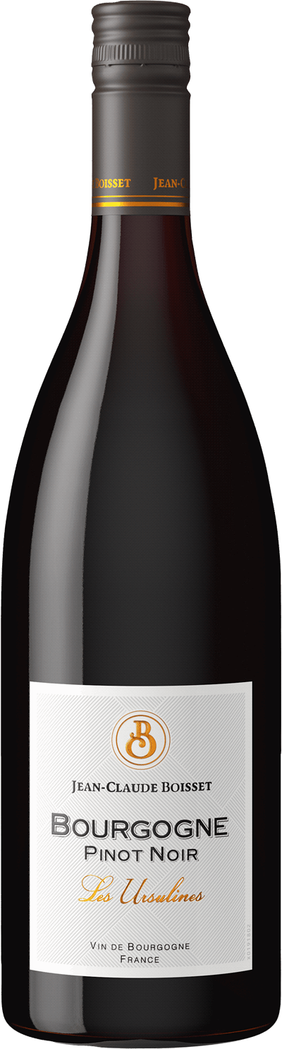 Bourgogne Pinot Noir Les Ursulines 2019