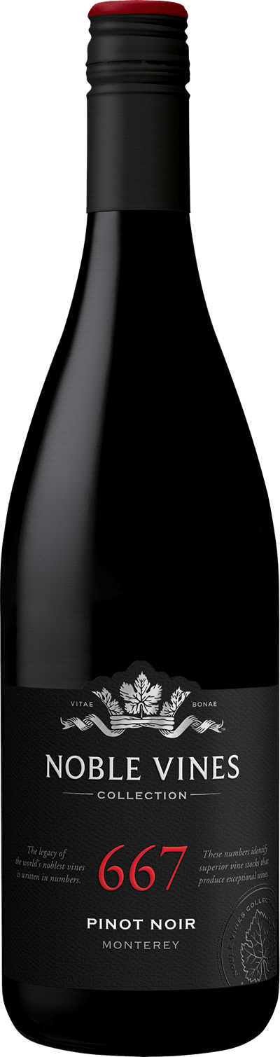 Bild på Noble Vines 667 Pinot Noir 2019